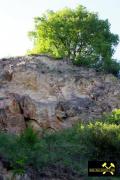 Badberg-Massiv bei Oberbergen im Kaiserstuhl, Baden-Württemberg, (D) (10) 10. Mai 2015 Karbonatit-Aufschluß.JPG